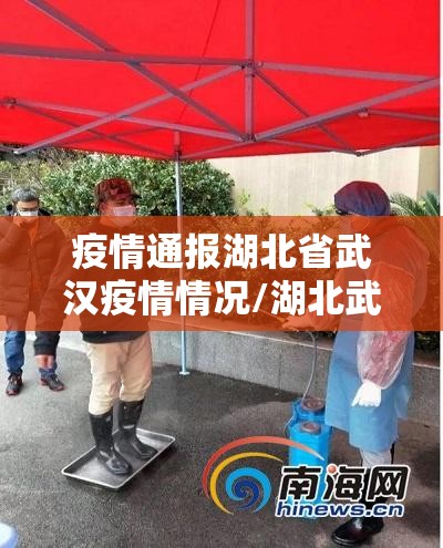 疫情通报湖北省武汉疫情情况/湖北武汉疫情状况