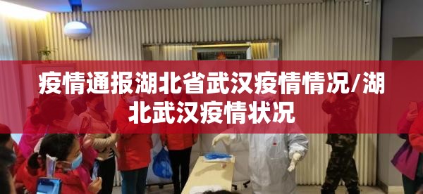 疫情通报湖北省武汉疫情情况/湖北武汉疫情状况