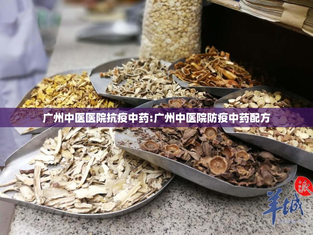广州中医医院抗疫中药:广州中医院防疫中药配方