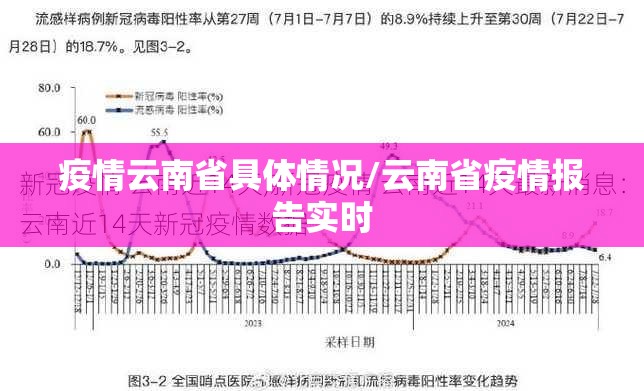 疫情云南省具体情况/云南省疫情报告实时
