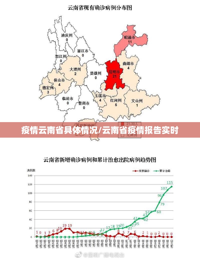 疫情云南省具体情况/云南省疫情报告实时