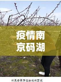 疫情南京码湖北省要隔离吗:从南京回湖北需要什么码