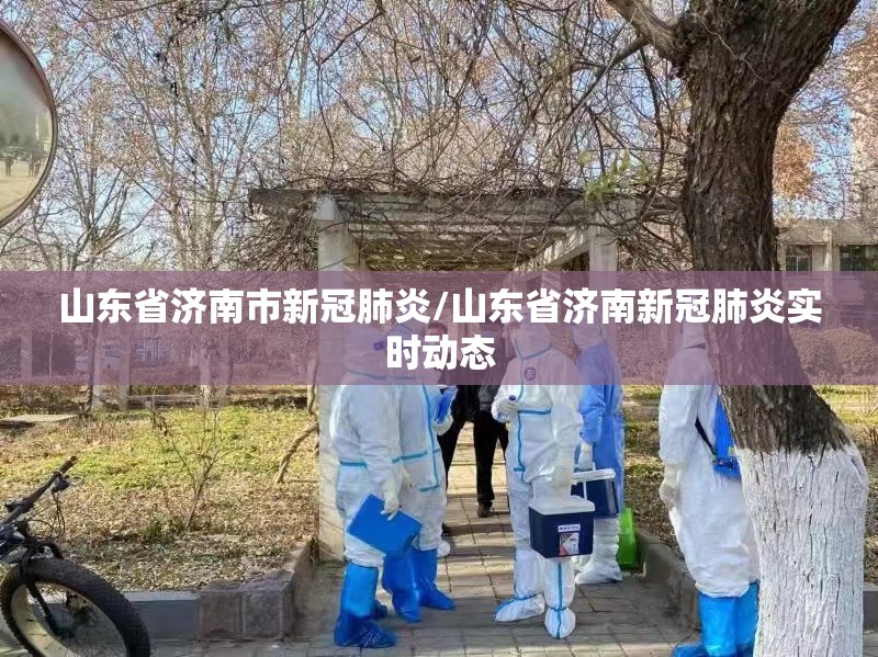 山东省济南市新冠肺炎/山东省济南新冠肺炎实时动态
