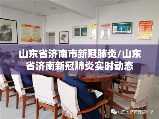 山东省济南市新冠肺炎/山东省济南新冠肺炎实时动态