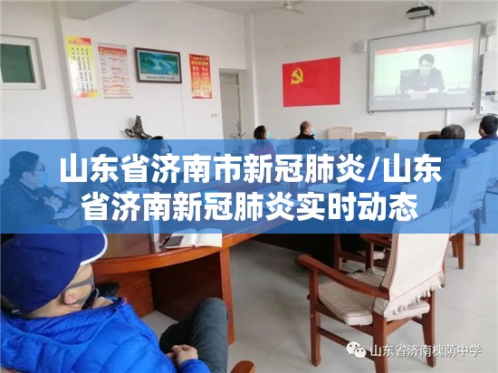 山东省济南市新冠肺炎/山东省济南新冠肺炎实时动态