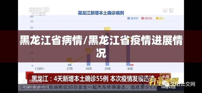 黑龙江省病情/黑龙江省疫情进展情况
