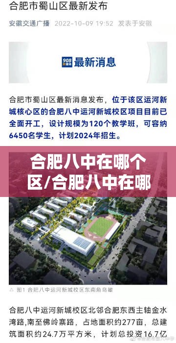 合肥八中在哪个区/合肥八中在哪个区域内