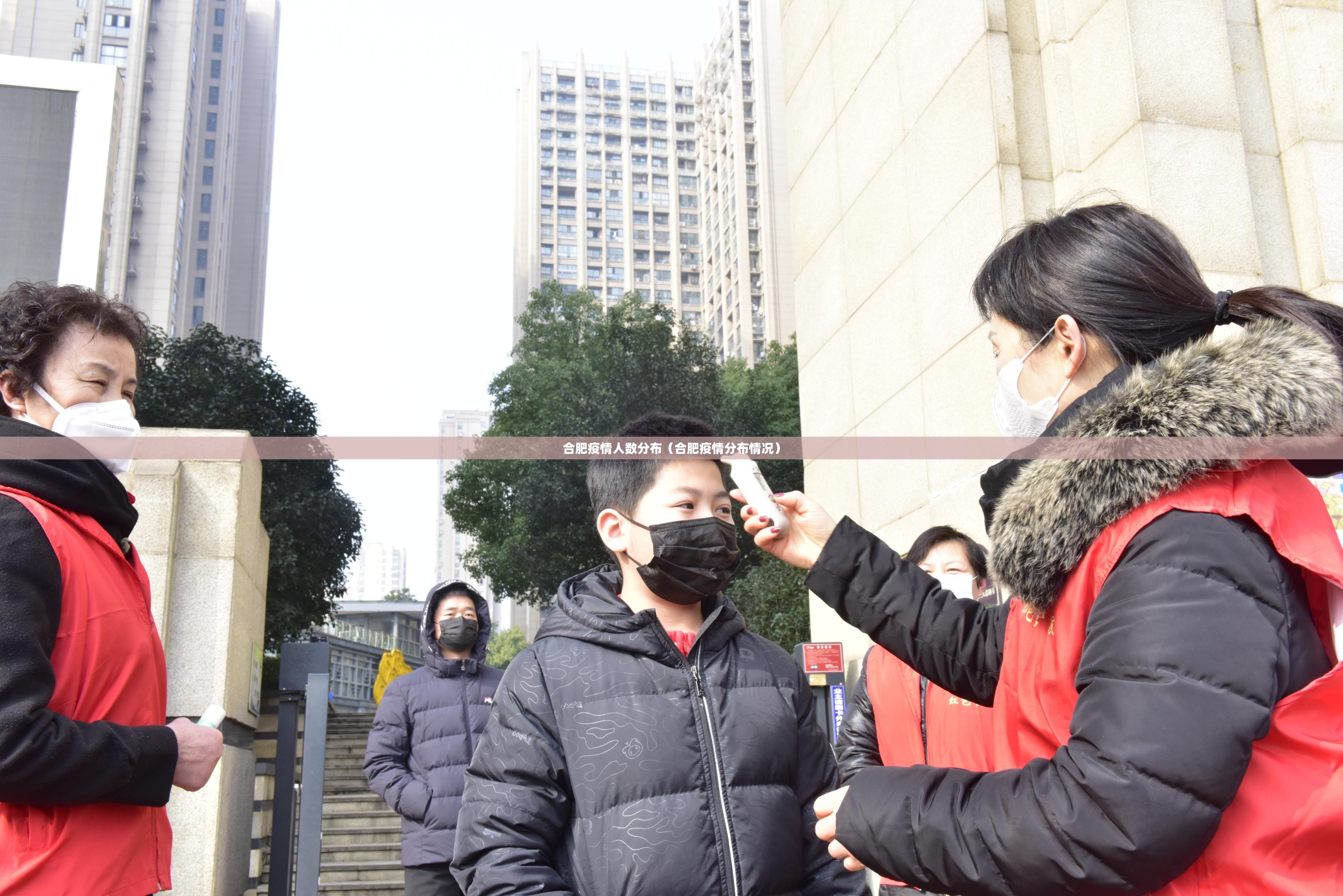 合肥疫情人数分布（合肥疫情分布情况）