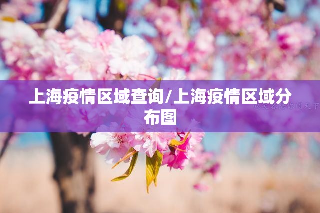 上海疫情区域查询/上海疫情区域分布图