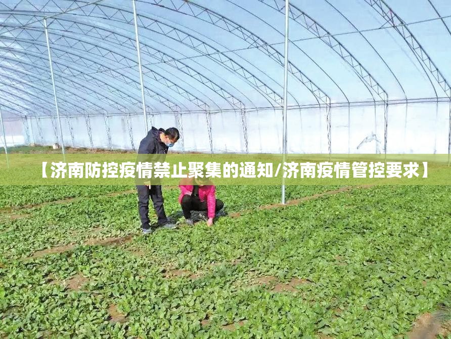 【济南防控疫情禁止聚集的通知/济南疫情管控要求】