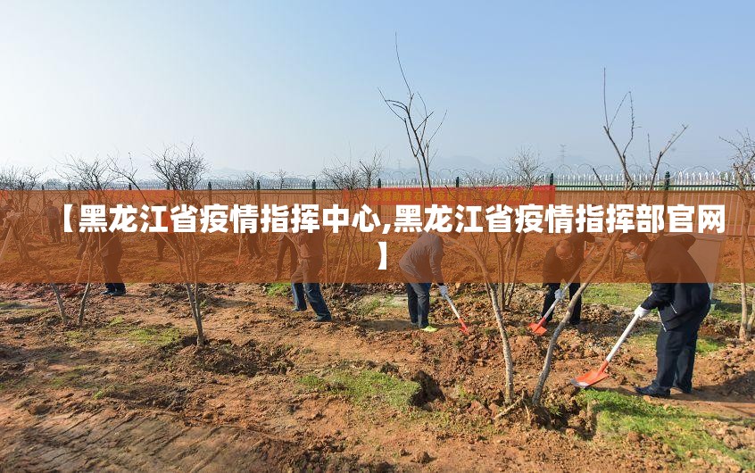 【黑龙江省疫情指挥中心,黑龙江省疫情指挥部官网】
