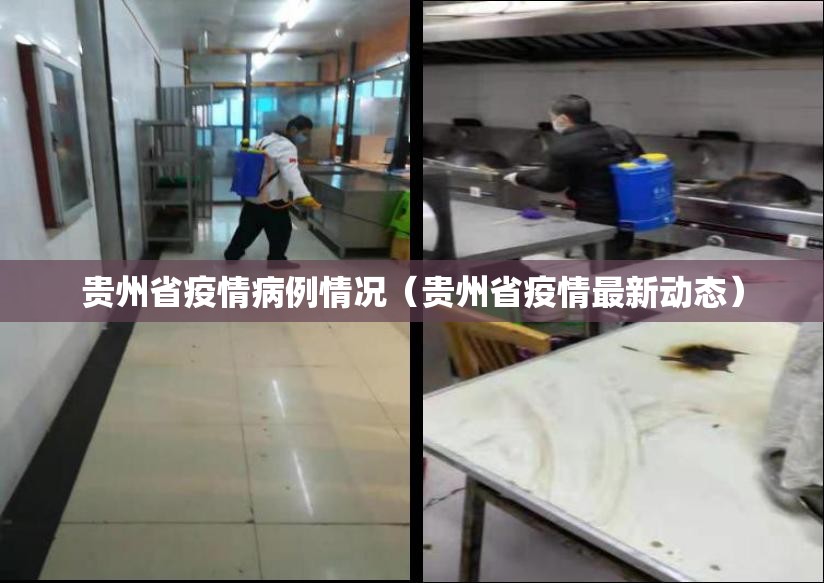 贵州省疫情病例情况（贵州省疫情最新动态）