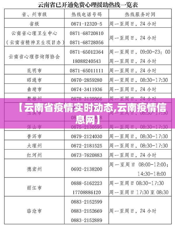 【云南省疫情实时动态,云南疫情信息网】