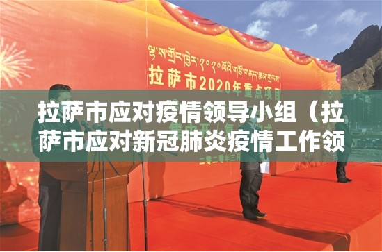 拉萨市应对疫情领导小组（拉萨市应对新冠肺炎疫情工作领导小组）