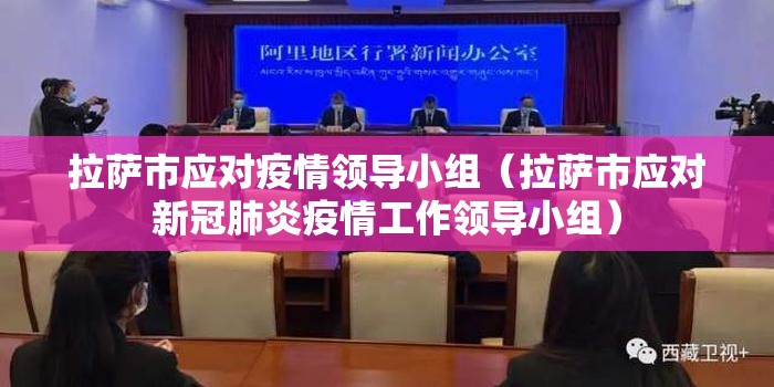 拉萨市应对疫情领导小组（拉萨市应对新冠肺炎疫情工作领导小组）