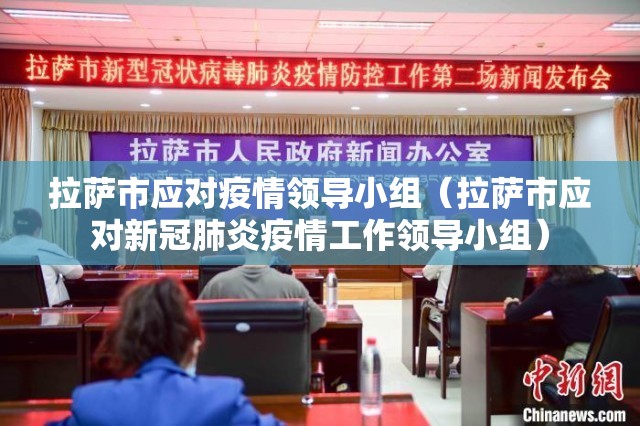 拉萨市应对疫情领导小组（拉萨市应对新冠肺炎疫情工作领导小组）
