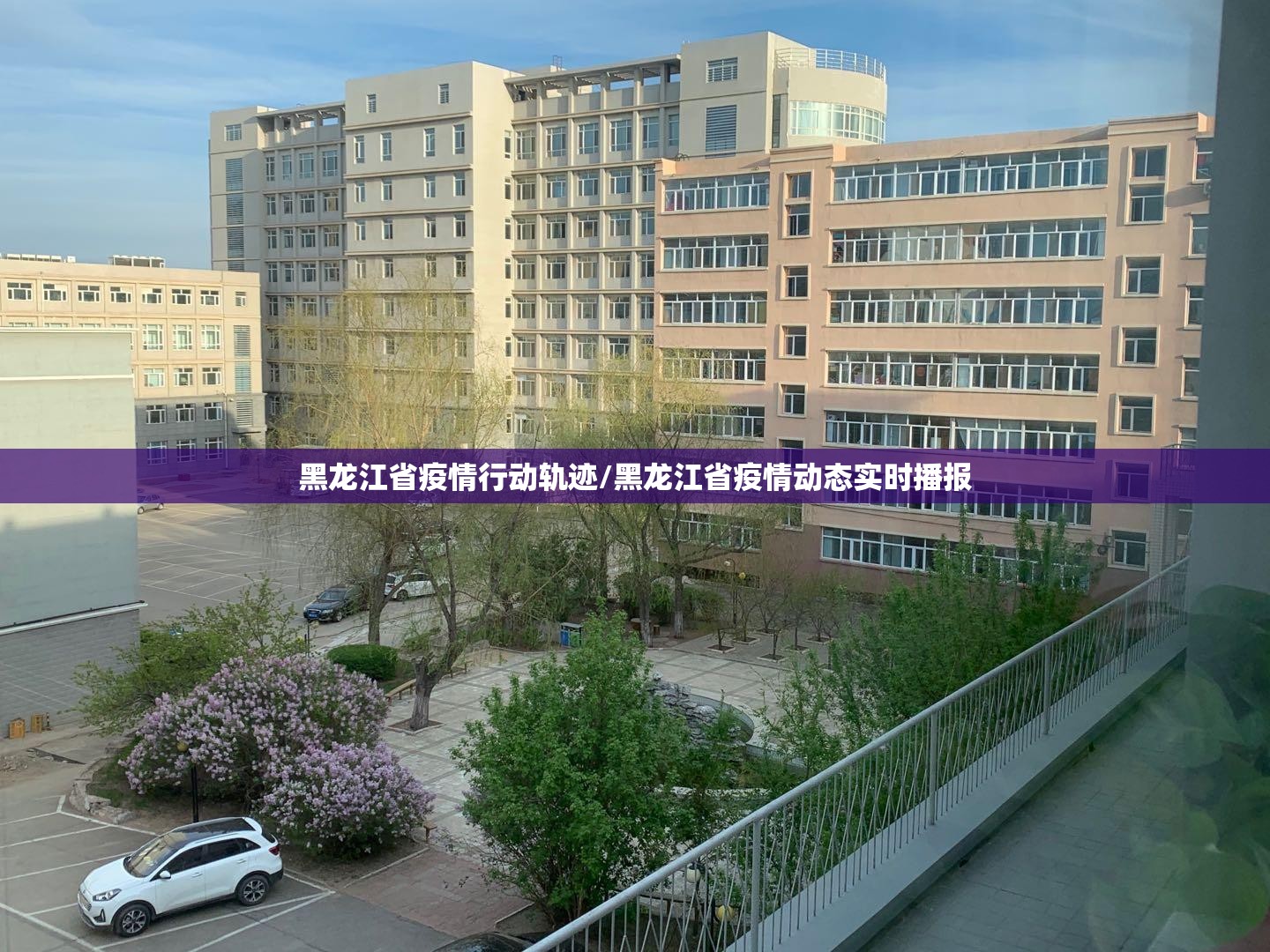 黑龙江省疫情行动轨迹/黑龙江省疫情动态实时播报