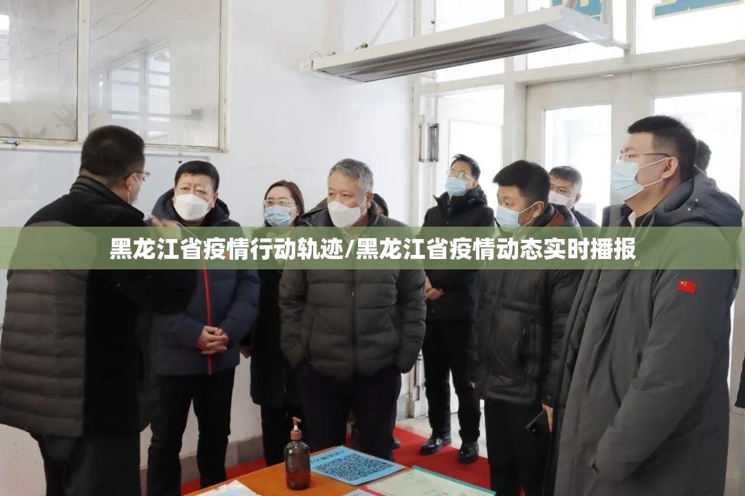黑龙江省疫情行动轨迹/黑龙江省疫情动态实时播报