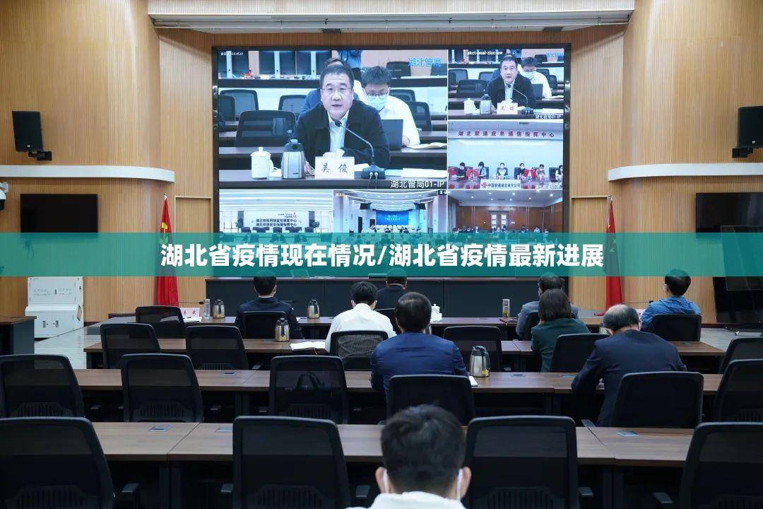 湖北省疫情现在情况/湖北省疫情最新进展