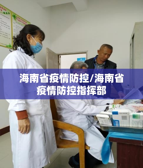 海南省疫情防控/海南省疫情防控指挥部