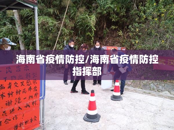 海南省疫情防控/海南省疫情防控指挥部
