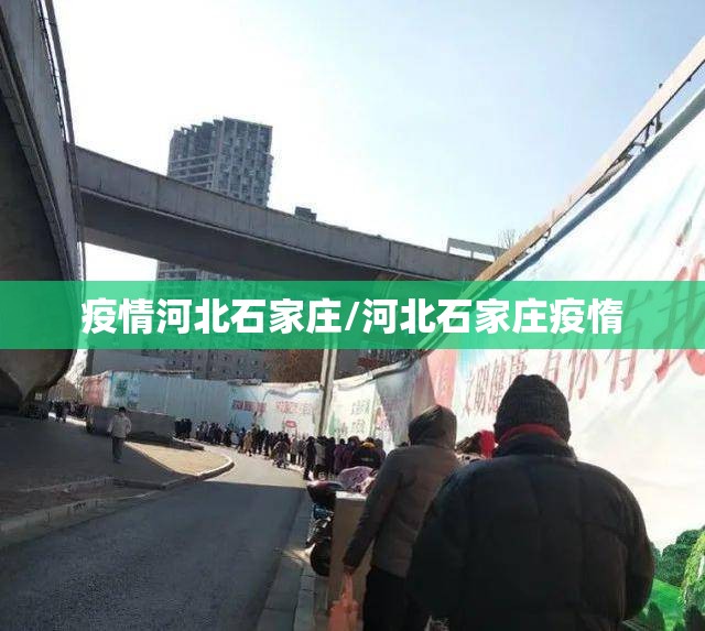 疫情河北石家庄/河北石家庄疫惰