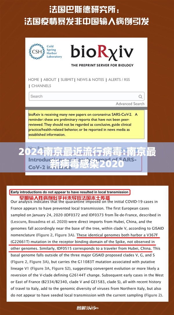 2024南京最近流行病毒:南京最新病毒感染2020