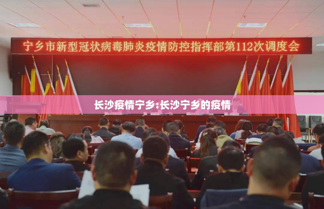 长沙疫情宁乡:长沙宁乡的疫情