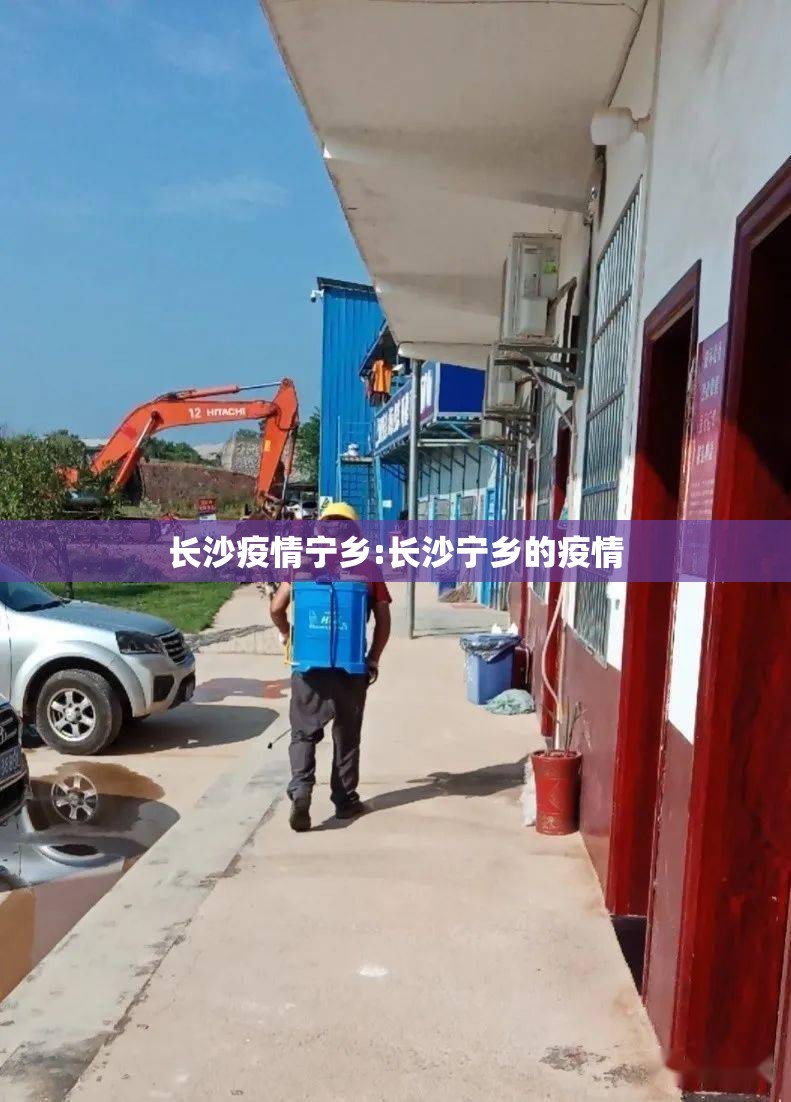 长沙疫情宁乡:长沙宁乡的疫情