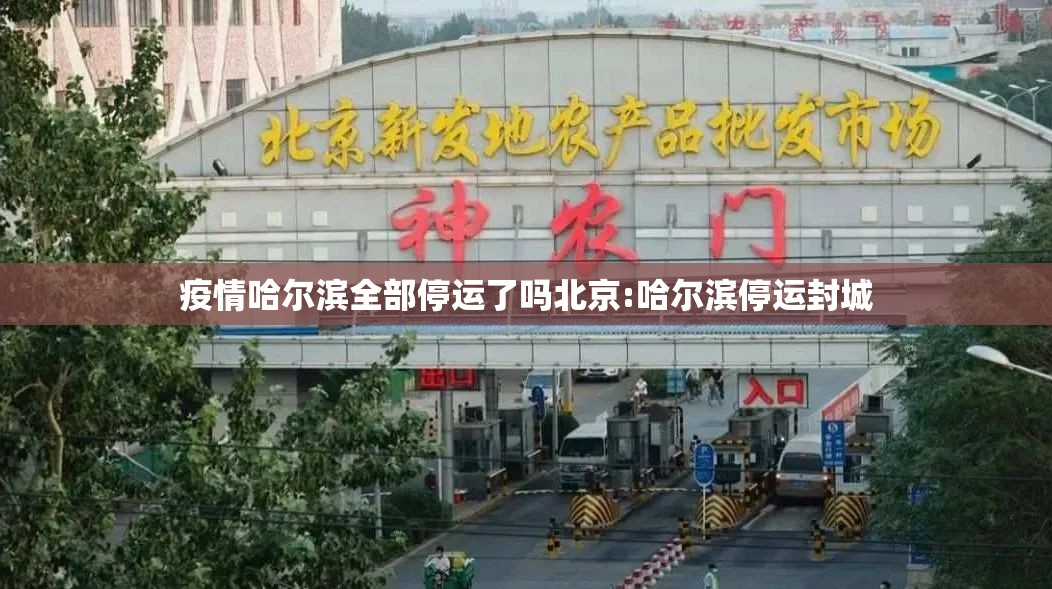 疫情哈尔滨全部停运了吗北京:哈尔滨停运封城