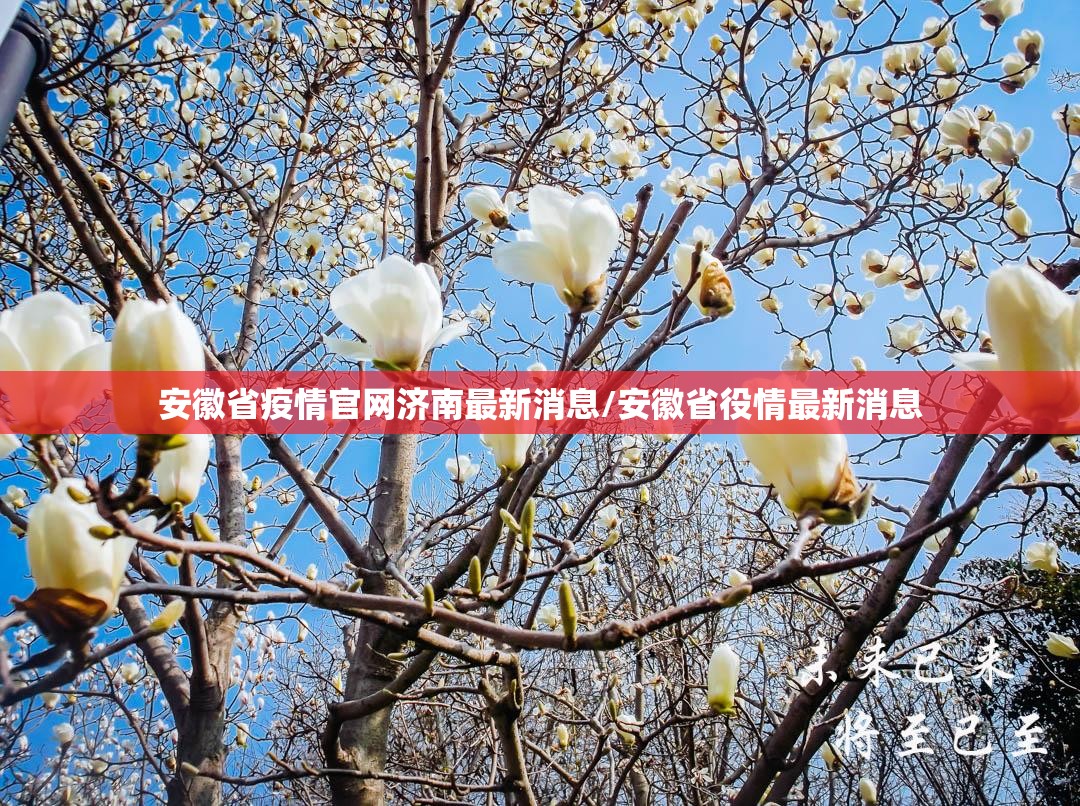 安徽省疫情官网济南最新消息/安徽省役情最新消息