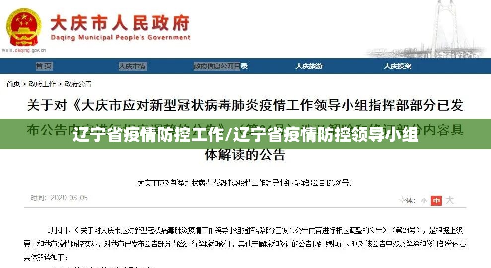 辽宁省疫情防控工作/辽宁省疫情防控领导小组