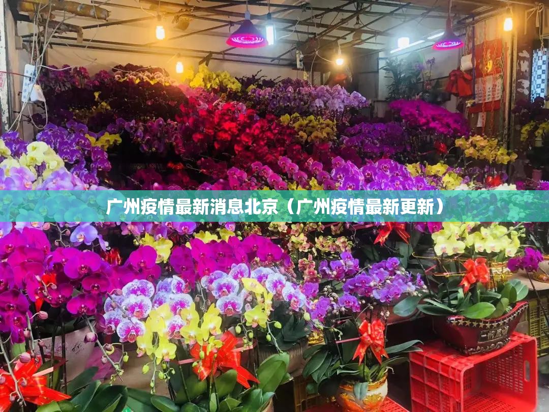 广州疫情最新消息北京（广州疫情最新更新）