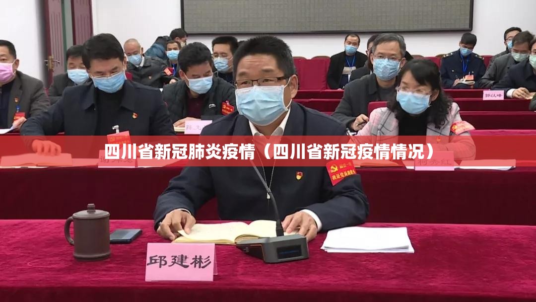 四川省新冠肺炎疫情（四川省新冠疫情情况）