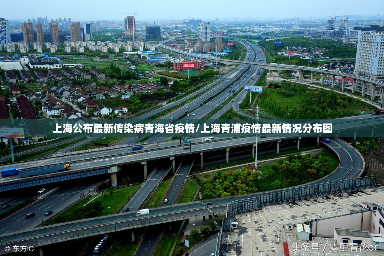 上海公布最新传染病青海省疫情/上海青浦疫情最新情况分布图