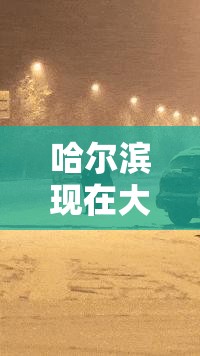 哈尔滨现在大哥（哈尔滨现在大哥还剩下几个）