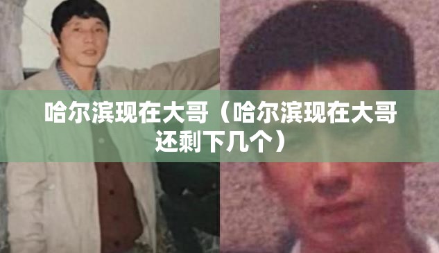 哈尔滨现在大哥（哈尔滨现在大哥还剩下几个）