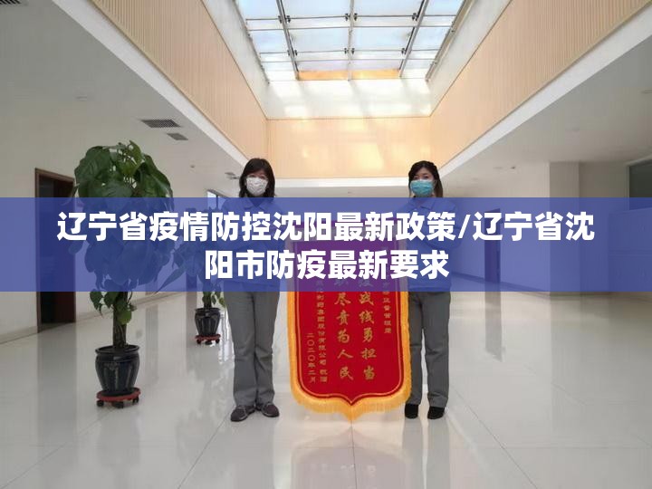 辽宁省疫情防控沈阳最新政策/辽宁省沈阳市防疫最新要求