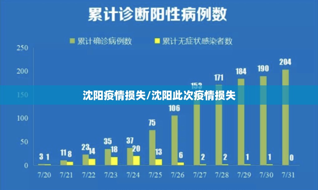 沈阳疫情损失/沈阳此次疫情损失