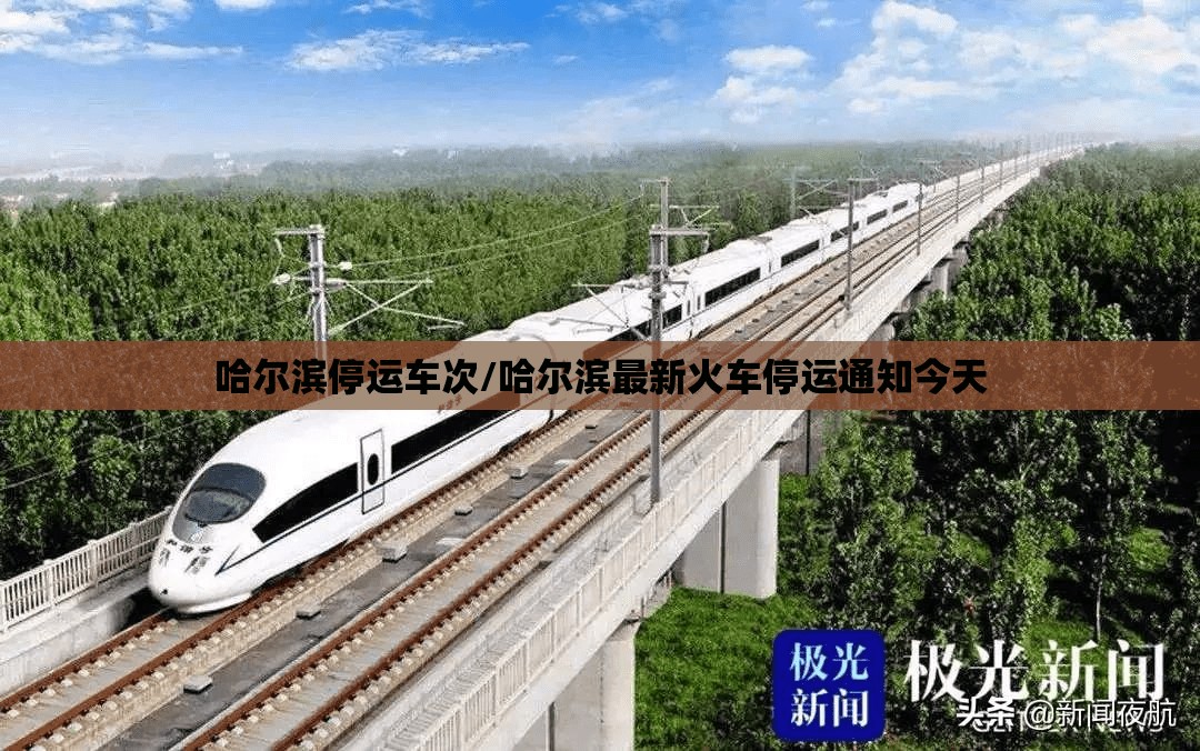 哈尔滨停运车次/哈尔滨最新火车停运通知今天