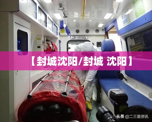 【封城沈阳/封城 沈阳】