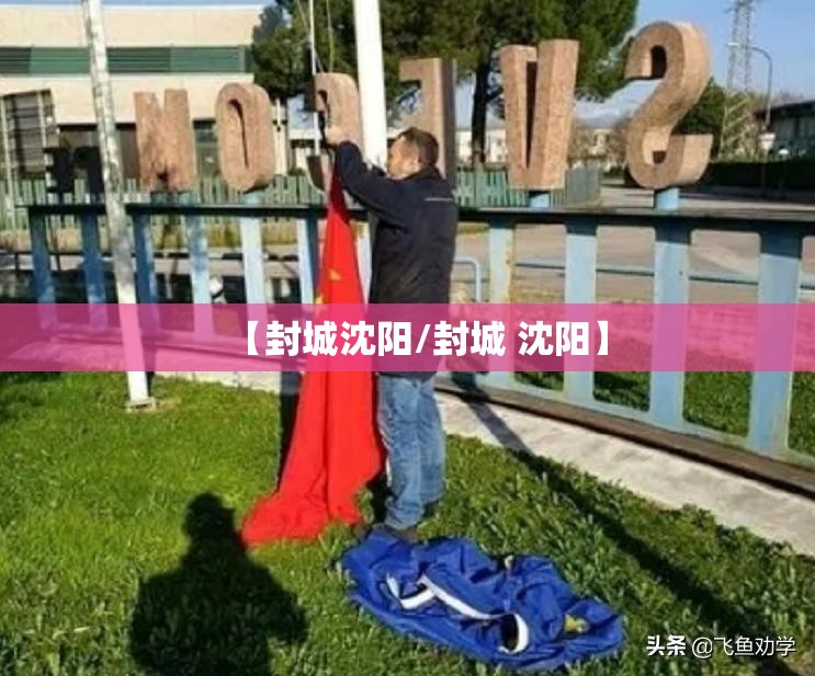 【封城沈阳/封城 沈阳】