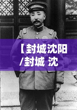 【封城沈阳/封城 沈阳】