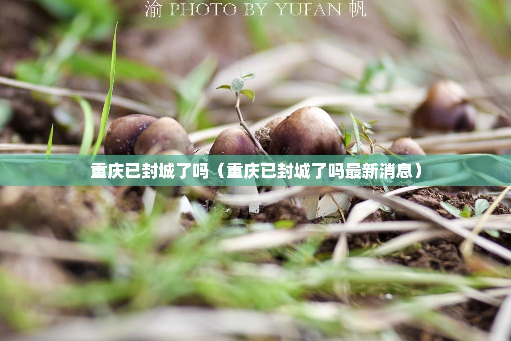 重庆已封城了吗（重庆已封城了吗最新消息）