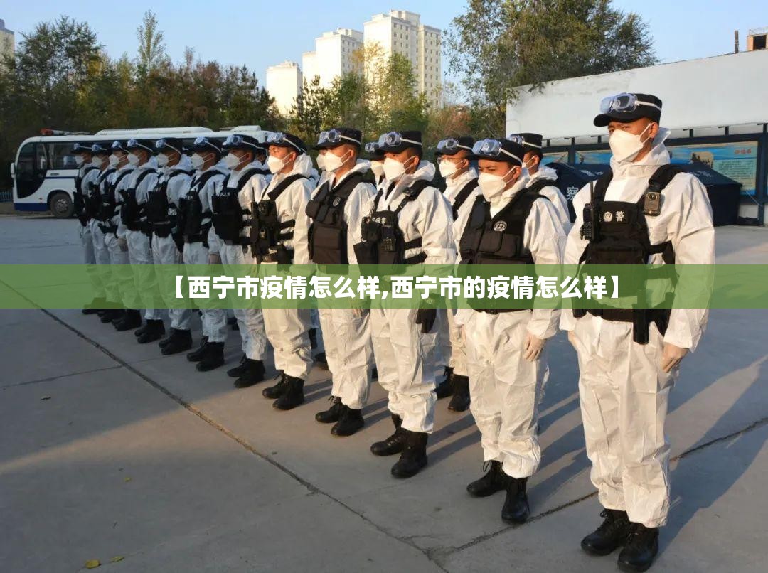【西宁市疫情怎么样,西宁市的疫情怎么样】