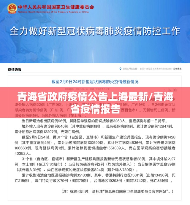 青海省政府疫情公告上海最新/青海省疫情报告