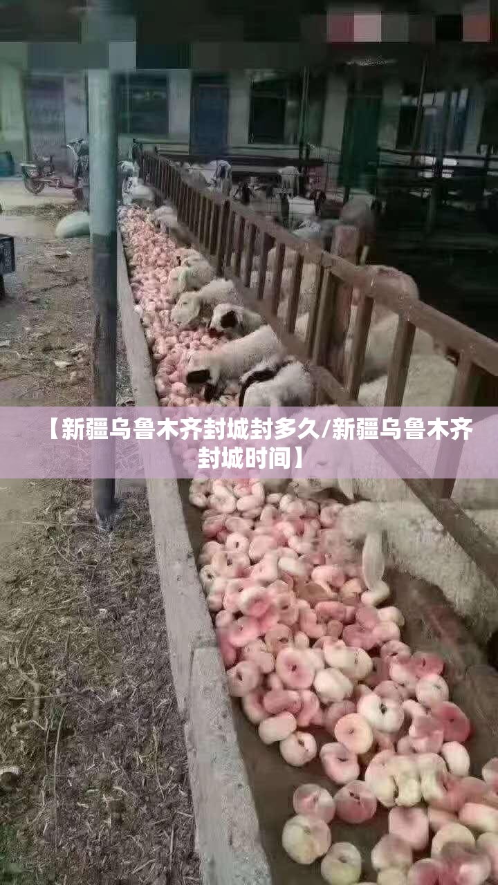 【新疆乌鲁木齐封城封多久/新疆乌鲁木齐封城时间】