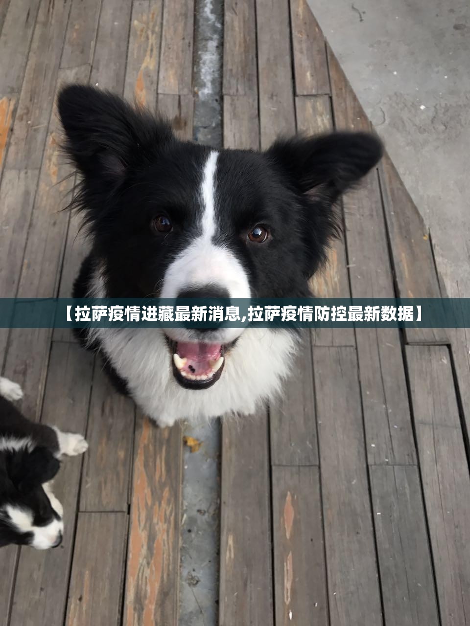 【拉萨疫情进藏最新消息,拉萨疫情防控最新数据】