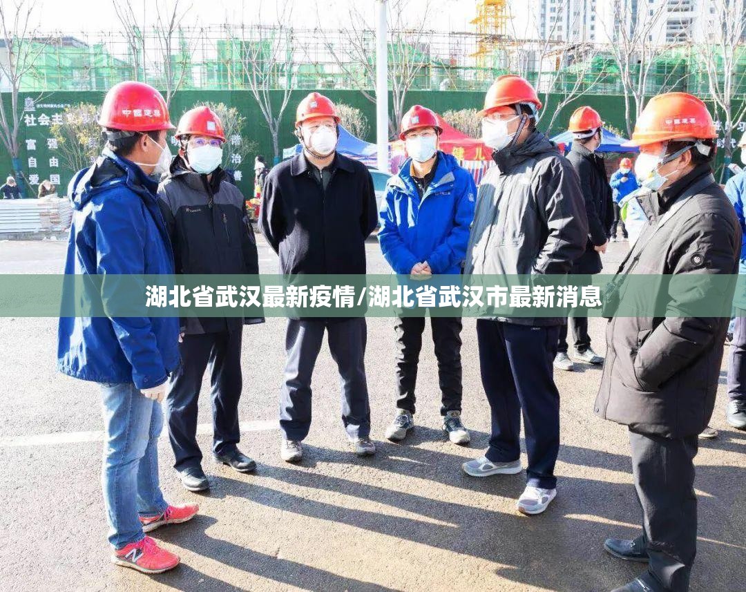 湖北省武汉最新疫情/湖北省武汉市最新消息