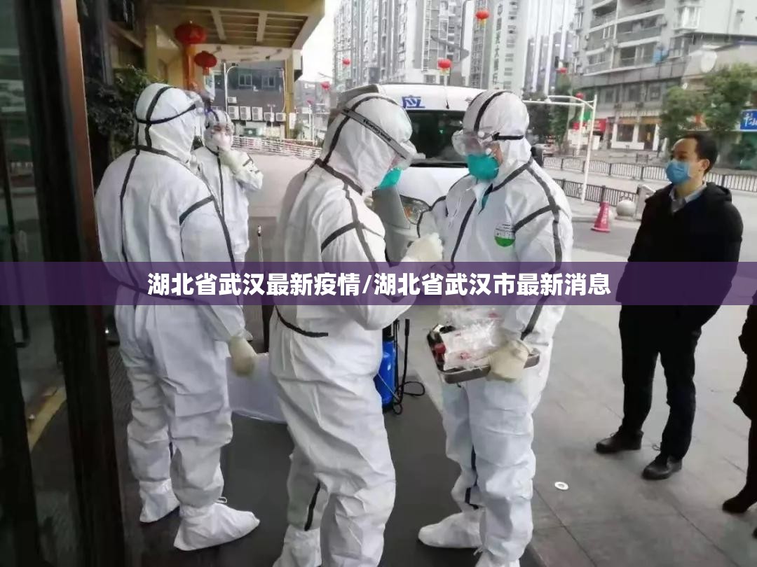 湖北省武汉最新疫情/湖北省武汉市最新消息